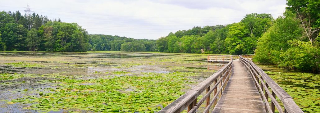 The Teatown Nature Preserve